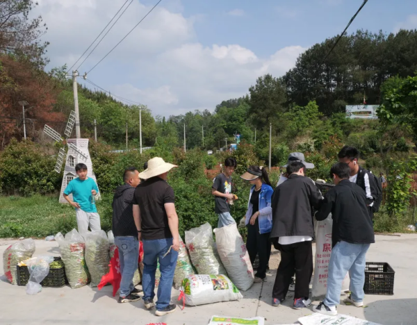 志愿服务到田间 助农采收展风采丨贵阳信息科技学院开展帮农助农主题党团日活动暨创新开展劳动教育实践课