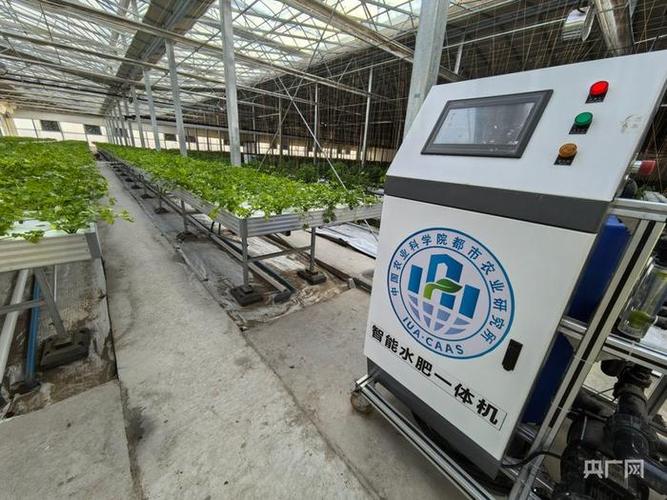 沙滩结硕果 科技解锁设施农业逐"绿"密码